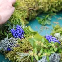 Spring Wreath Ideas