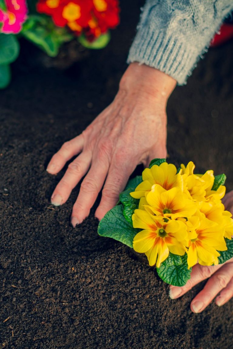 DIY Tips for Spring Gardening