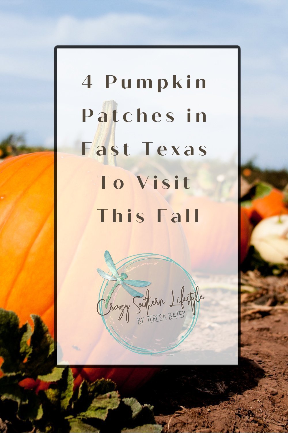 4 Pumpkin Patches in East Texas To Visit This Fall