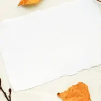 DIY Dollar Tree Fall Crafts