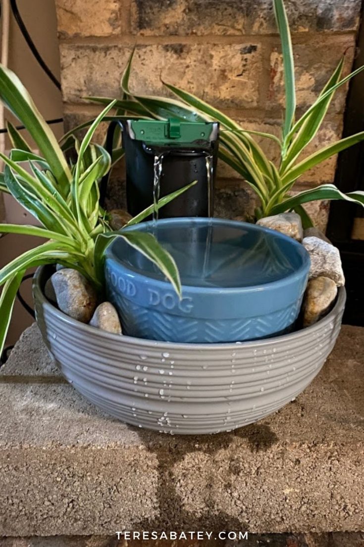 Fountain style shop dog bowl