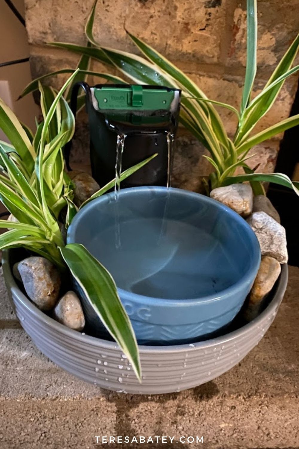 Amazing DIY Pet Fountain
