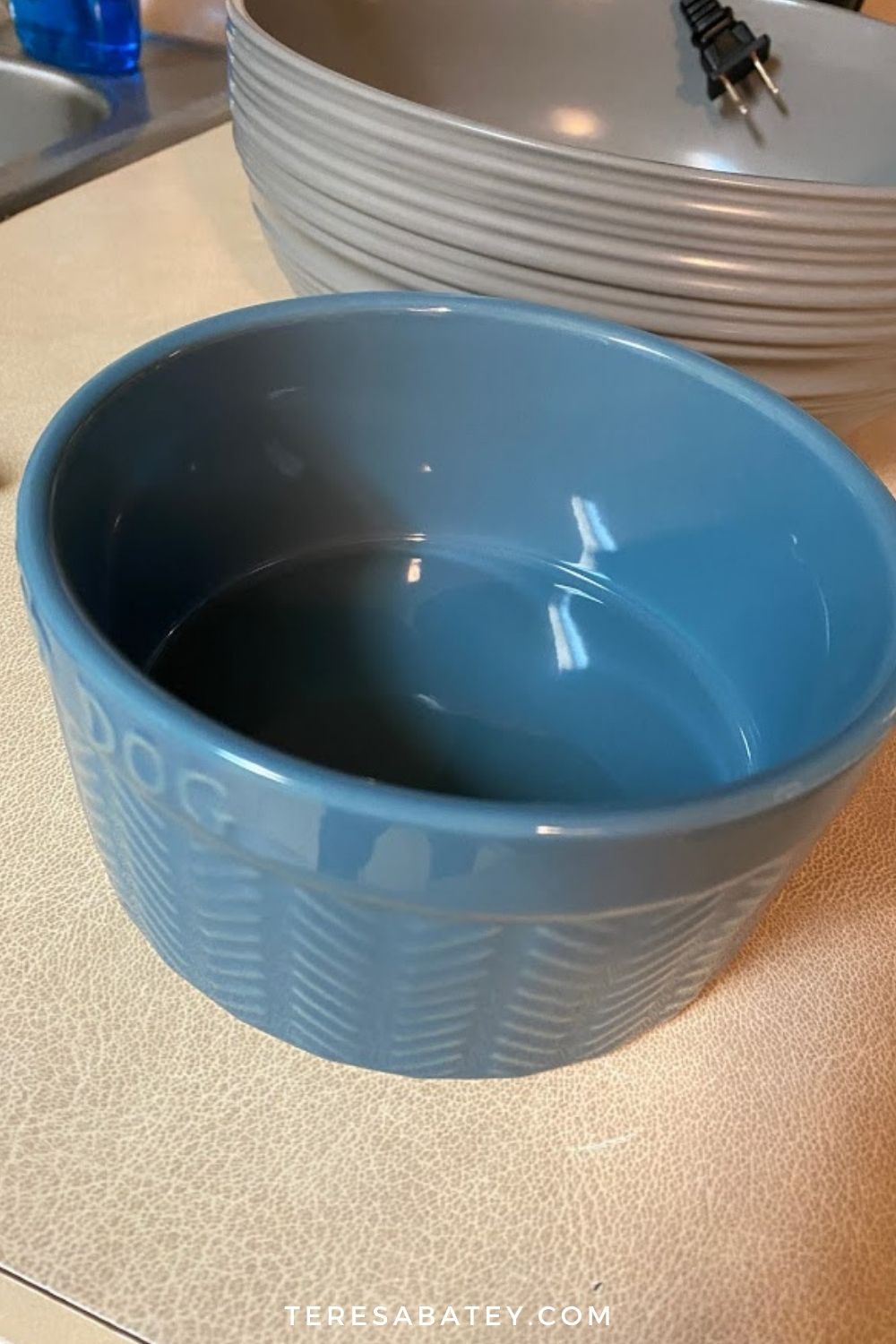 Amazing DIY Pet Fountain