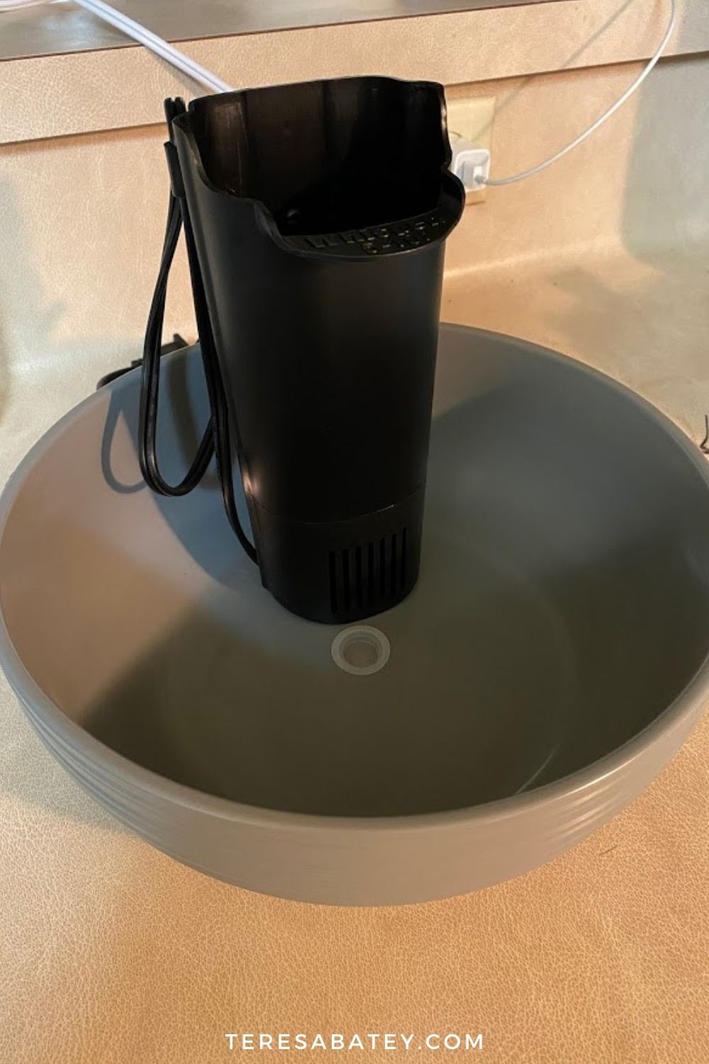 Amazing DIY Pet Fountain
