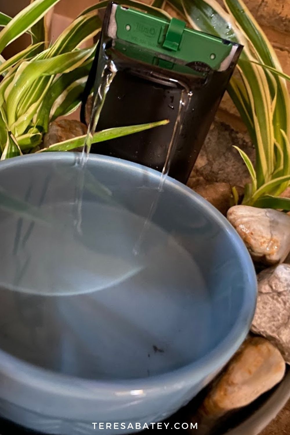 Amazing DIY Pet Fountain
