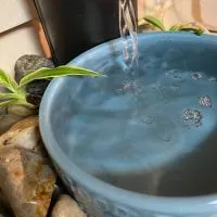 DIY Pet Fountain