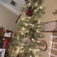 Christmas Living Room Tree