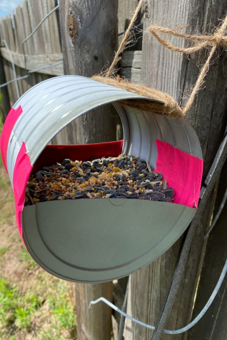 DIY Coffee Can Bird Feeder