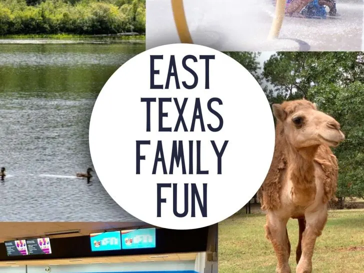 Ultimate List of East Texas Family Fun