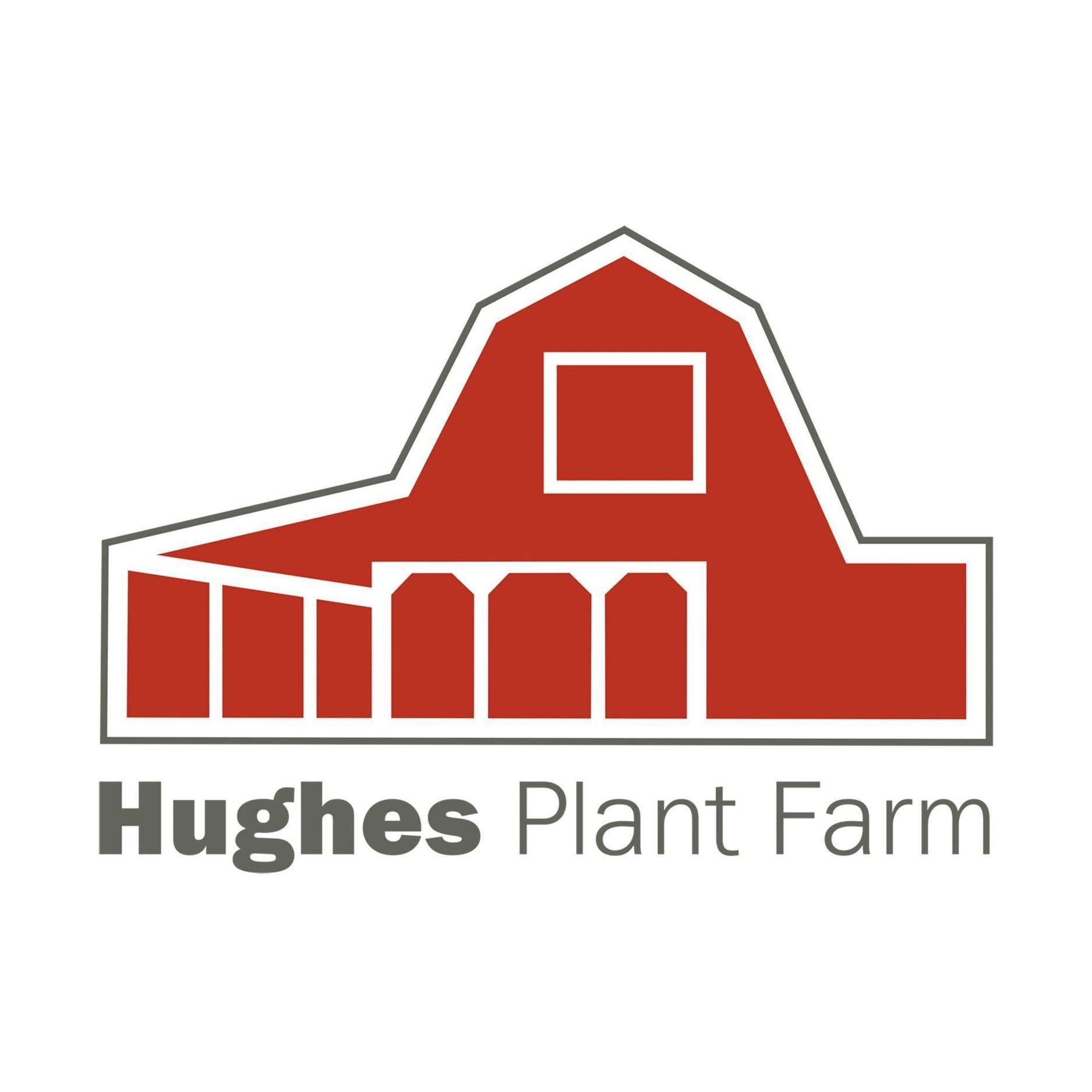 Christmas Tree Farms in East Texas - Hughes Plant Farm