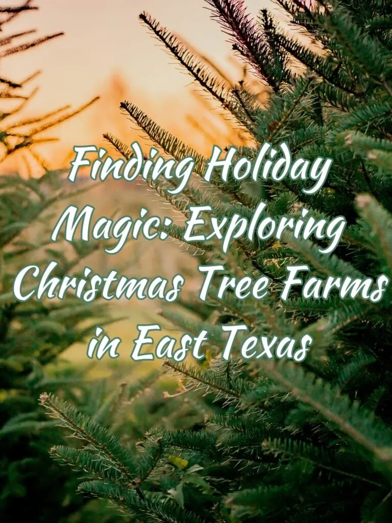 Christmas Tree Farms in East Texas