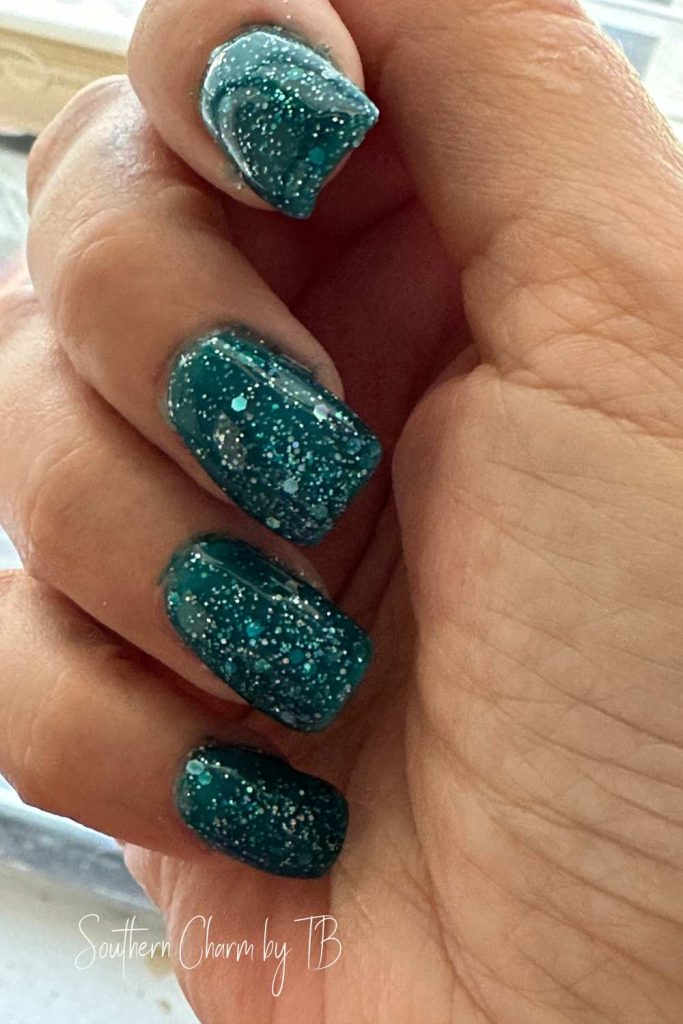 nails by terri review