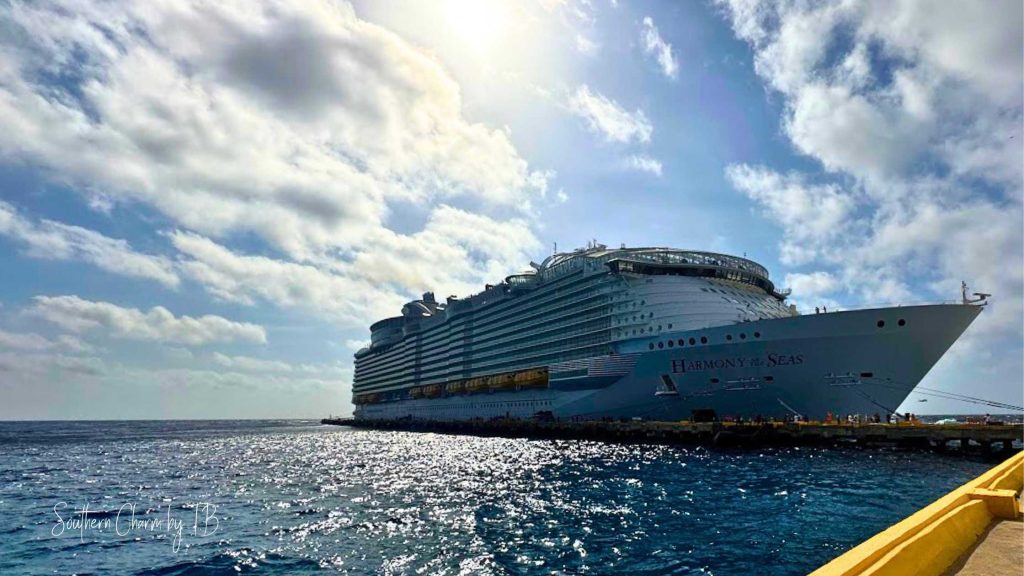 Must haves for a royal caribbean cruise