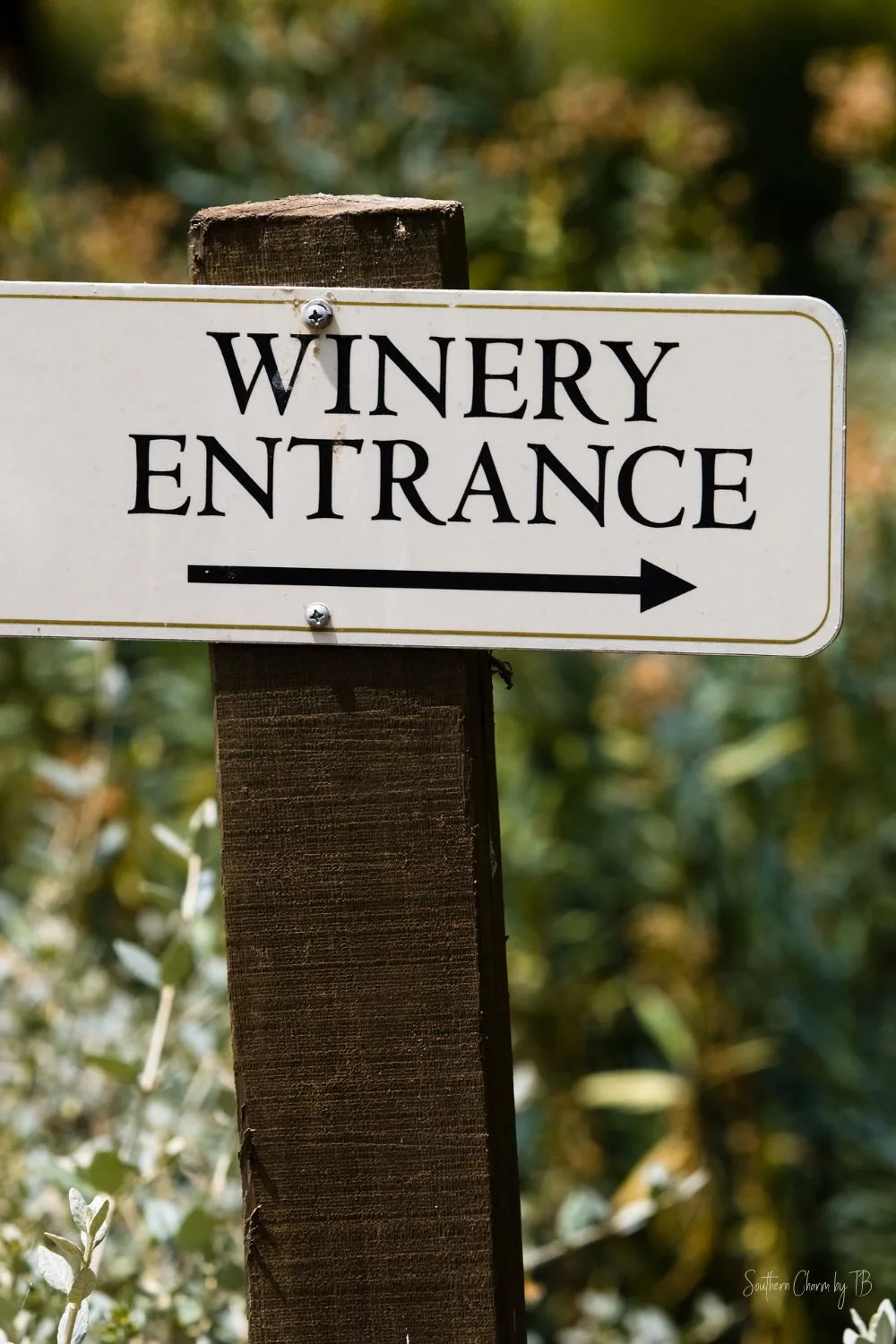 A Wine Lover&rsquo;s Guide to the Best Wineries in East Texas
