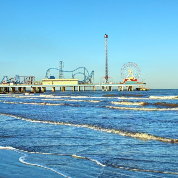 things to do in galveston before your cruise