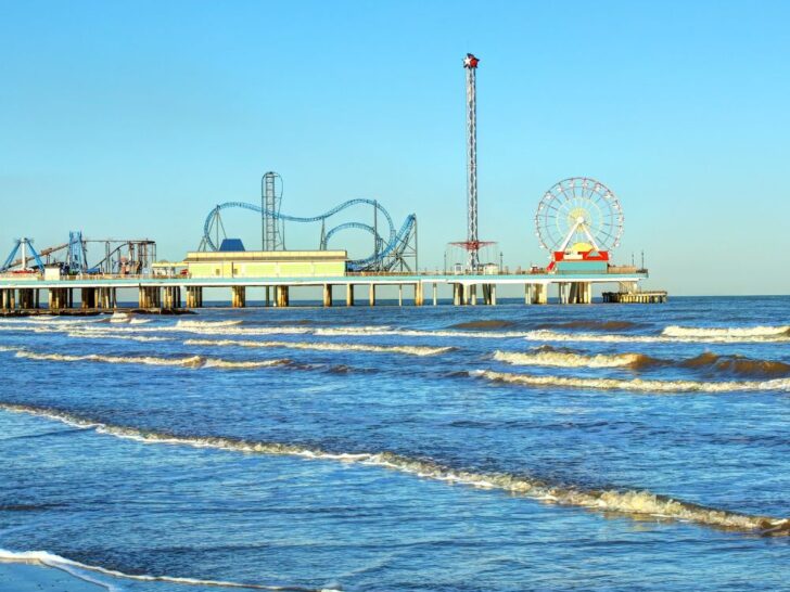 things to do in galveston before your cruise