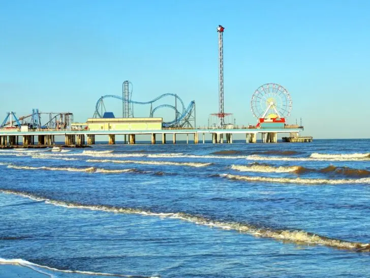 things to do in galveston before your cruise