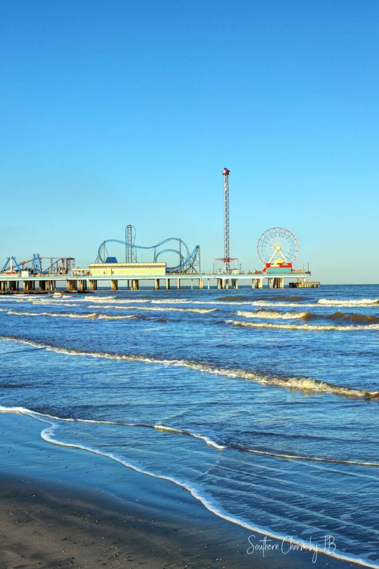 things to do in galveston before your cruise