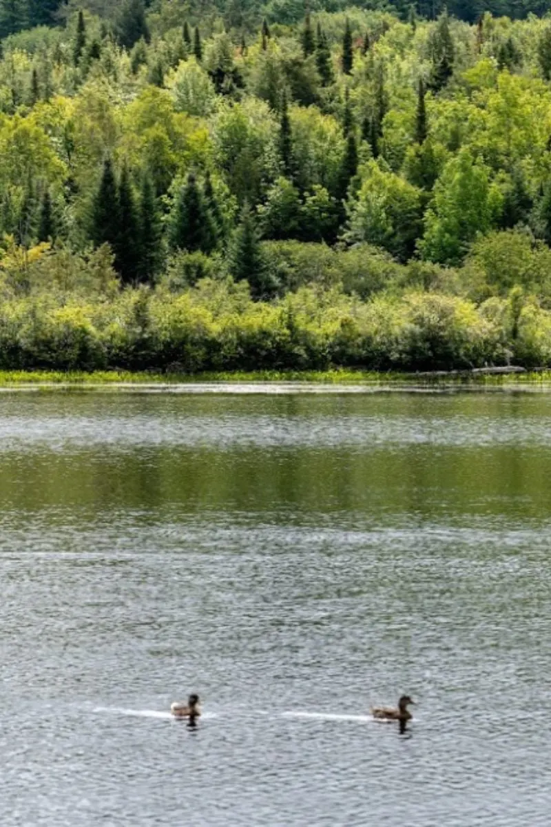 East Texas Fall Getaways