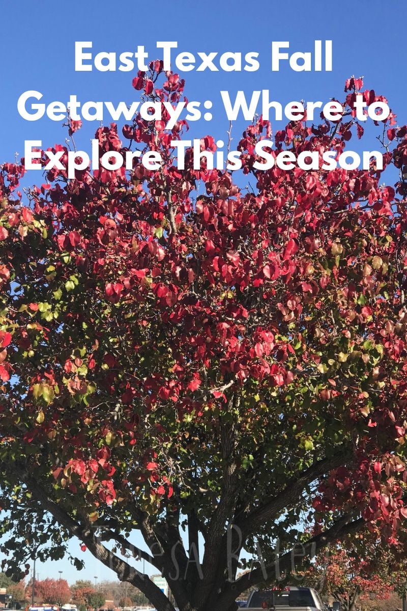 East Texas Fall Getaways: Where to Explore This Season