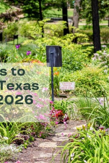 Best things to do in east texas in august 2026