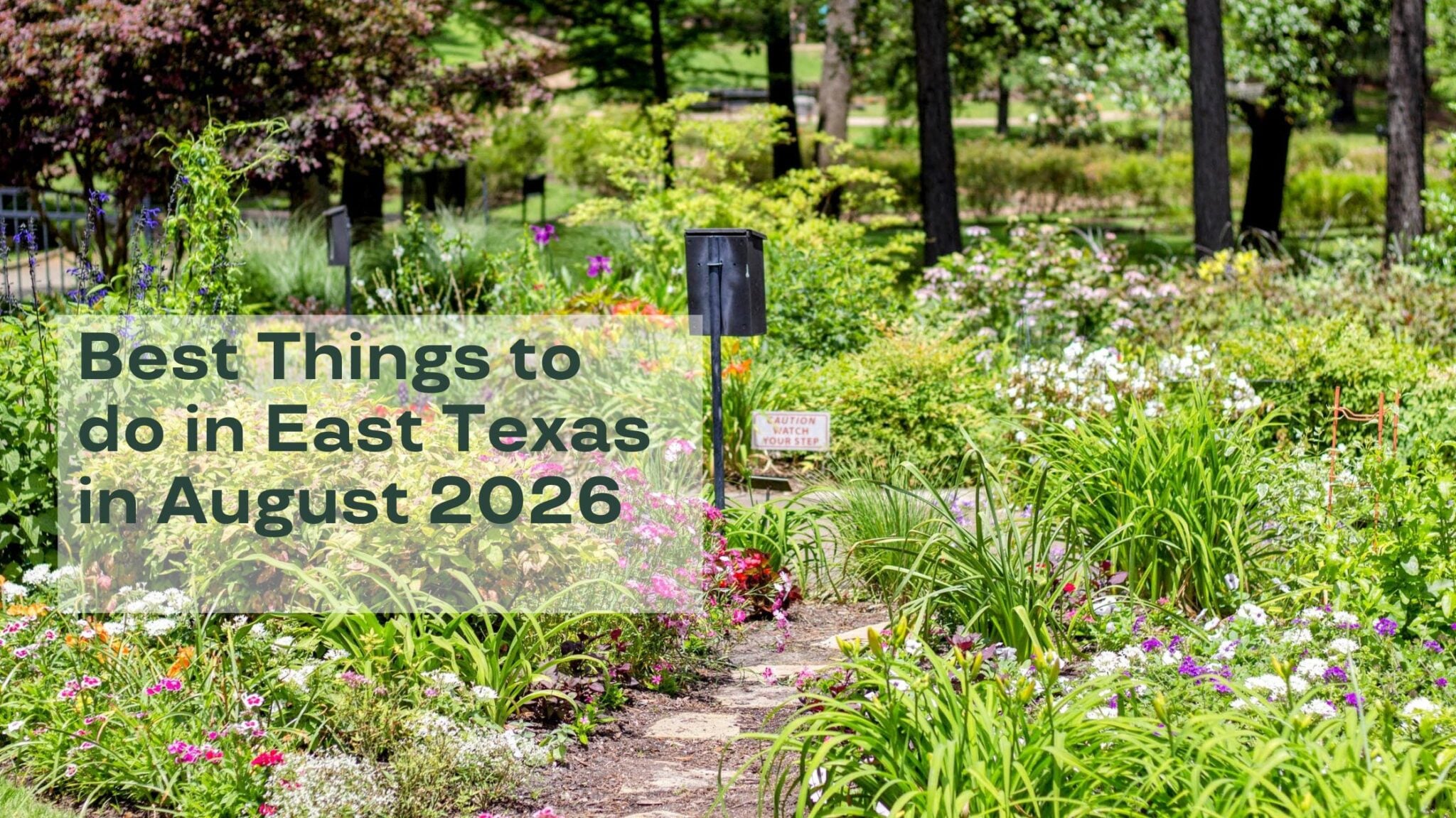 Best things to do in east texas in august 2026